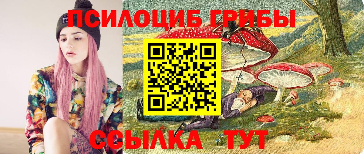 Берёзовский  Галлюциногенные грибы прущие грибы  Галлюциногенные грибы Psilocybe  Вход с VPN 