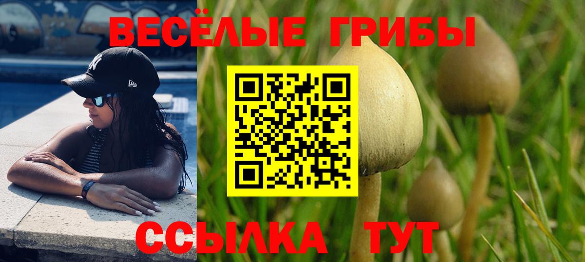 Галлюциногенные грибы мицелий Берёзовский